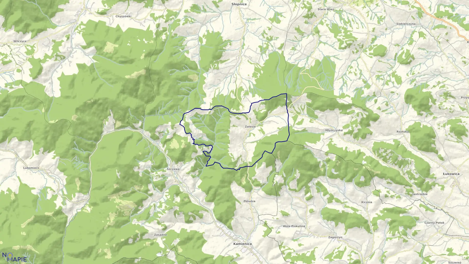 Mapa obrębu Zalesie w gminie Kamienica